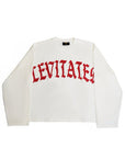 "EVERYBODY LEVITATES" Long Sleeve